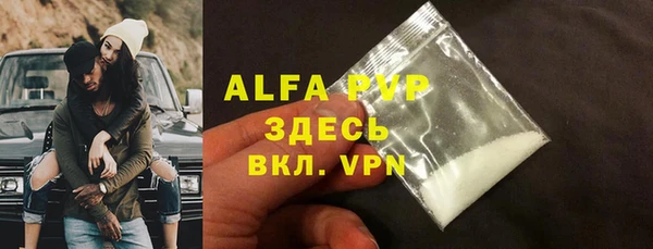 прущие грибы Болотное