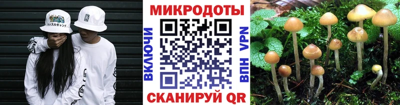 Псилоцибиновые грибы Cubensis Бийск