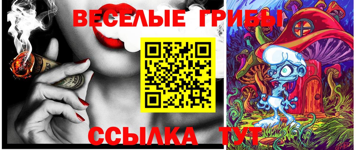 Псилоцибиновые грибы ЛСД Бийск